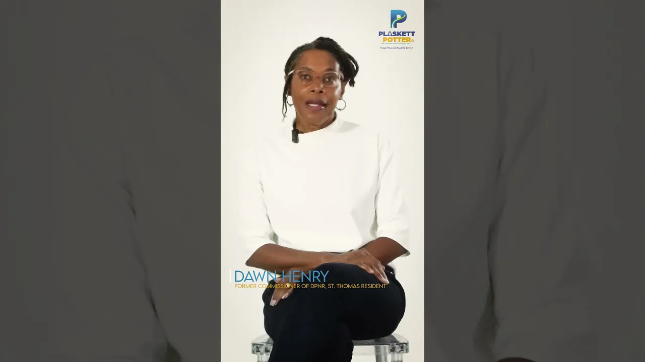 Video thumbnail of Dawn Henry endorsing Plaskett and Potter.